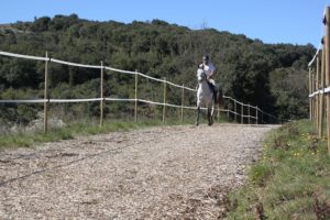buxor sols équestres en buis piste de galop
