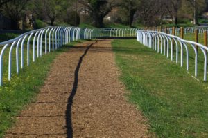 buxor sols équestres en buis piste de galop