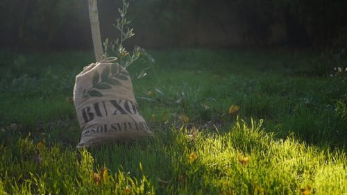 Sac Buxor – Image 6