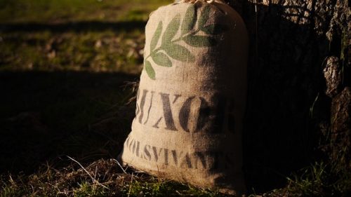 Sac Buxor – Image 2